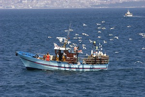 White Boat with Seagulls